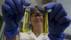 Les oméga 3, une protection contre la schizophrénie