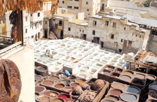 L'industrie du cuir marocain présente au Salon de Paris