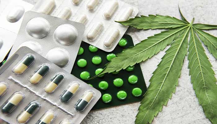 Réinsertion des agriculteurs du cannabis: La légalisation partielle ouvre la voie à de nouveaux enjeux et à de nouvelles perspectives Réinsertion des agriculteurs du cannabis: La légalisation partielle ouvre la voie à de nouveaux enjeux et à de nouvelles perspectives
