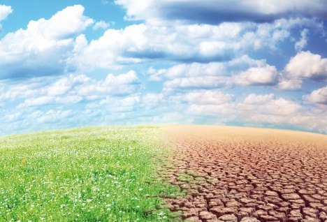 Les changements climatiques, un éventuel  danger pour les entreprises