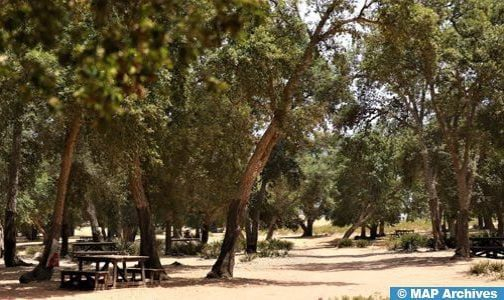 Rencontre à Oujda sur l’agroforesterie et les perspectives de son développement dans l’Oriental Rencontre à Oujda sur l’agroforesterie et les perspectives de son développement dans l’Oriental
