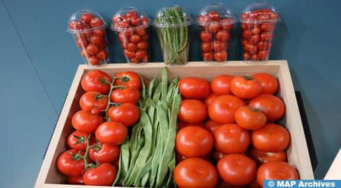 Un rapport britannique sur la sécurité alimentaire braque les projecteurs sur les relations agricoles avec le Maroc Un rapport britannique sur la sécurité alimentaire braque les projecteurs sur les relations agricoles avec le Maroc