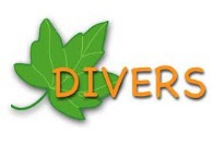Divers Divers