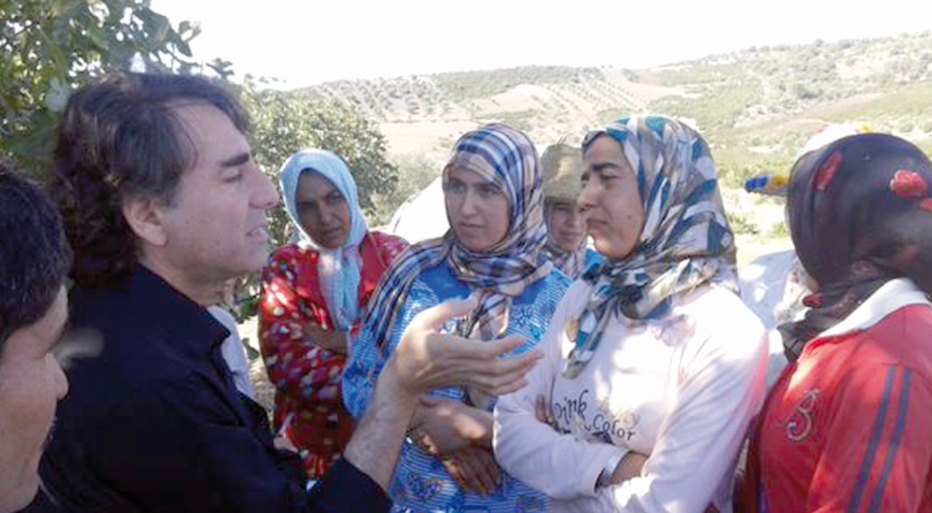 Les cultivars de figuiers en voie d’extinction peuvent bénéficier aux ruraux marocains Les cultivars de figuiers en voie d’extinction peuvent bénéficier aux ruraux marocains