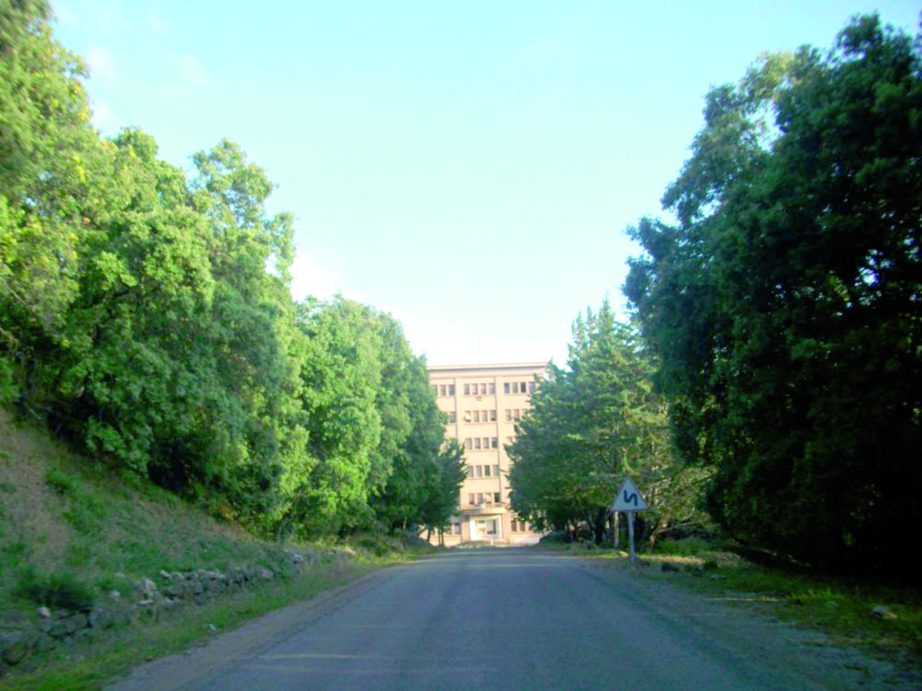Souvenirs d'un long séjour  au sanatorium de Bensmim