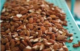 Le circuit de commercialisation des amandes serait désorganisé Le circuit de commercialisation des amandes serait désorganisé