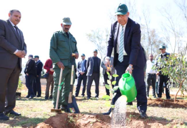 Rabat : L’ANEF célèbre la Journée internationale des forêts Rabat : L’ANEF célèbre la Journée internationale des forêts