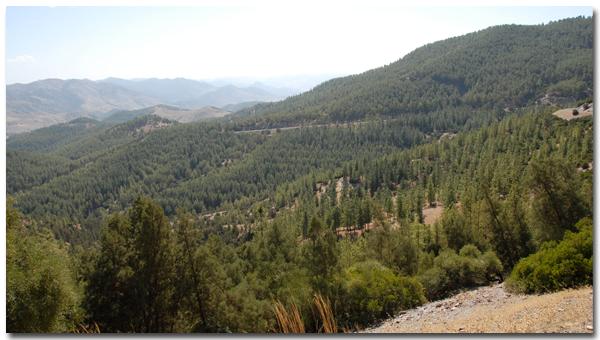 Plus de 107 MDH pour la conservation des forêts