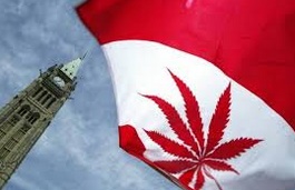 La légalisation du cannabis rapporterait des milliards au Canada