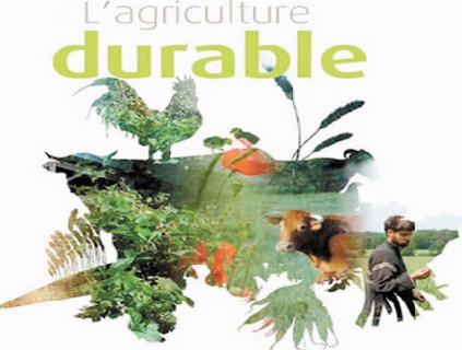 Mohammedia abrite le 1er Forum de l'agriculture durable