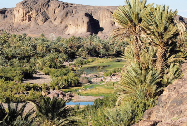 Les oasis du sud-est à l'épreuve des défis climatiques