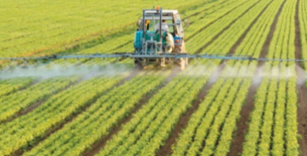 Lancement officiel à Settat du recensement général de l'agriculture