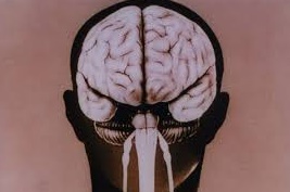 Les mystères de la formation des plis et replis de notre cerveau s'éclaircissent