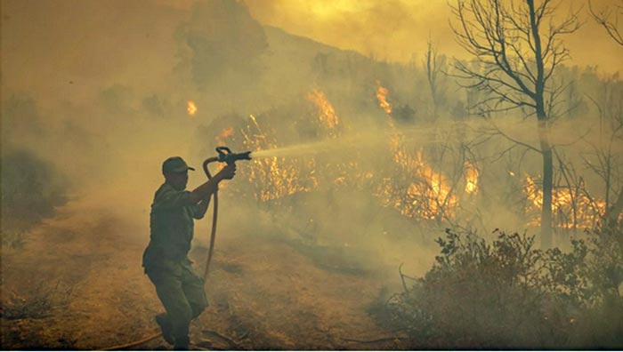 L’ANEF appelle à la vigilance face au risque d'incendies dans plusieurs régions du Royaume
