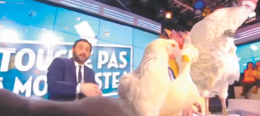 Pour la promotion du film «La Vache», Jamel Debbouze invite des animaux sur un plateau de télévision