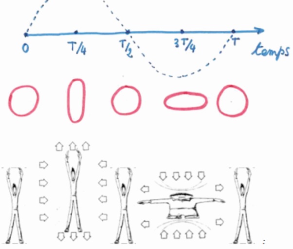 Toute la lumière sur les ondes gravitationnelles récemment découvertes