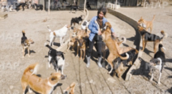 Salima Kadaoui, la militante de la cause animale