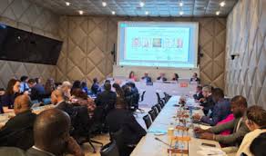 Le Maroc plaide à Genève pour un numérique africain inclusif, fondé sur des infrastructures solides