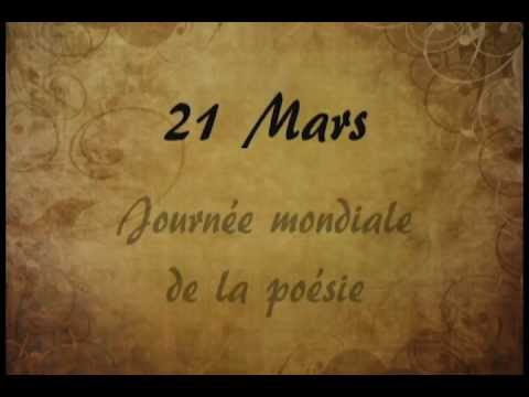 Bouillon de culture