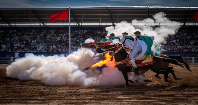 Près de 150.000 visiteurs au 16e Salon du cheval d’El Jadida