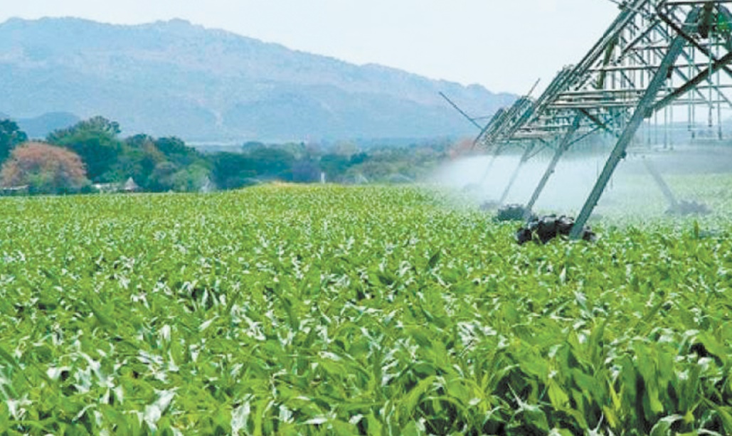 Le secteur de l’irrigation se trouve confronté à plusieurs contraintes