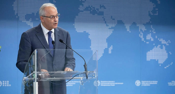 Le Maroc élu à la vice-présidence du Conseil de la FAO