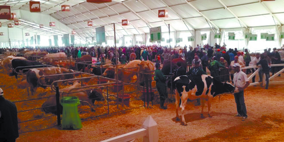 Les agriculteurs marocains doivent relever un grand défi