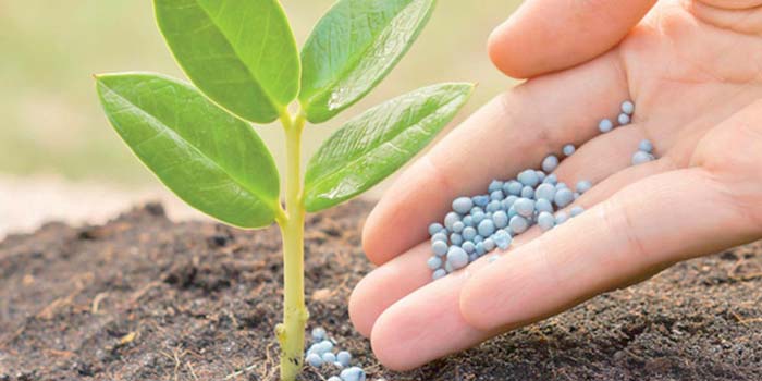 A Nairobi, OCP Africa présente ses initiatives innovantes pour renforcer la sécurité alimentaire sur le continent