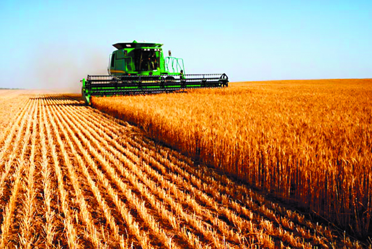 L'agriculture, moteur du développement économique au Maroc