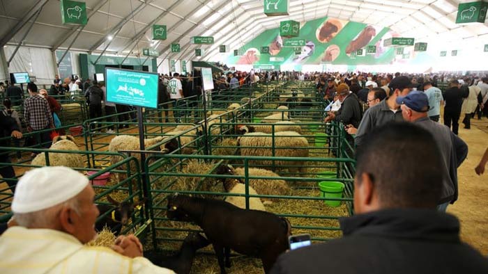 Le pôle Élevage, cœur battant du 18ème SIAM