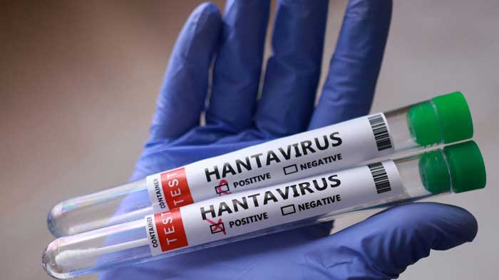 Hantavirus. Faire preuve de vigilance, ne pas céder à la psychose