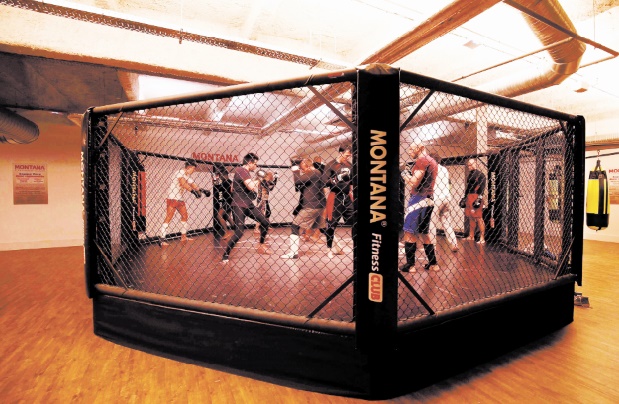 Le MMA attire irrésistiblement en France malgré des combats interdits