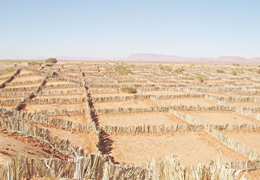 Présentation de l'expérience marocaine en matière de gestion durable des terres