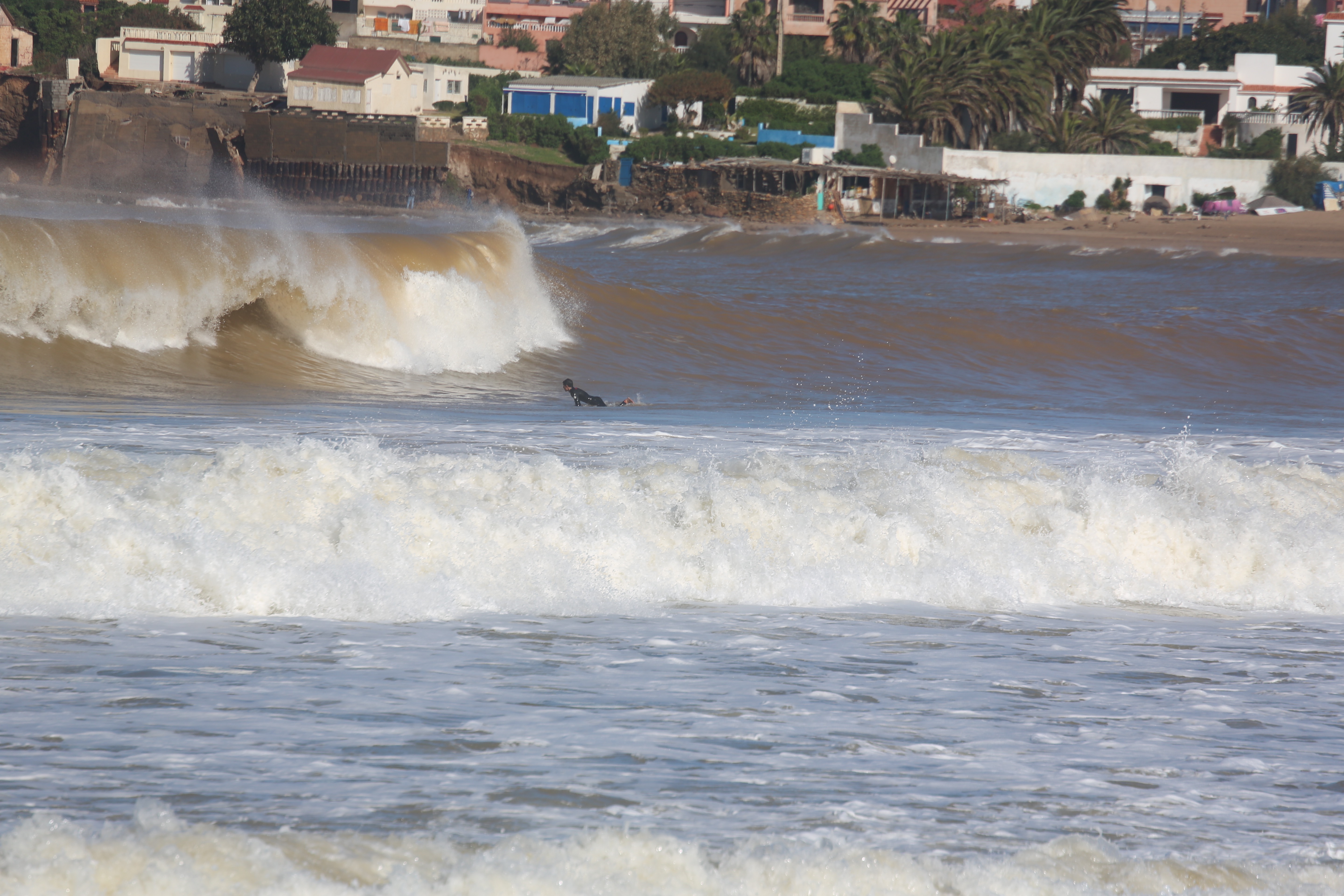 Mener en commun des actions de protection et  d’éducation environnementale au niveau des Sablettes Mener en commun des actions de protection et  d’éducation environnementale au niveau des Sablettes