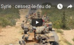 Syrie : cessez-le-feu des alliés de Washington