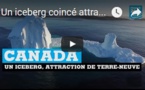 Un iceberg coincé attraction de terre neuve au CANADA
