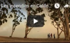 Les incendies en Californie font plus d'une vingtaine de morts