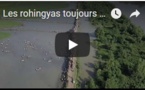 Les rohingyas toujours en fuite par milliers