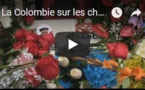 La Colombie sur les chemins cahoteux de la réconciliation