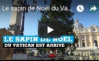 Le sapin de Noël du Vatican est arrivé