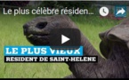 Le plus célèbre résident de Saint-Hélène