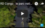 RD Congo : le parc national de la Salonga, paradis des biologistes