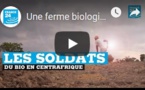 Une ferme biologique forme des "soldats de la terre" à Bangui