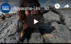 Royaume-Uni : 300 personnes se jettent dans la boue... pour la bonne cause