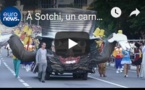 À Sotchi, un carnaval pour lancer la saison estivale