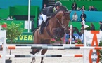 C’est à l’Etat qu’incombe la tâche de gérer les Stud Book : Pour une concurrence loyale dans les compétitions équestres