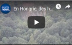En Hongrie, des habitants se battent pour sauver leurs arbres