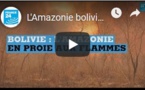 L'Amazonie bolivienne en proie aux flammes