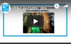 Revue de presse