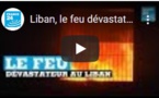 Liban, le feu dévastateur